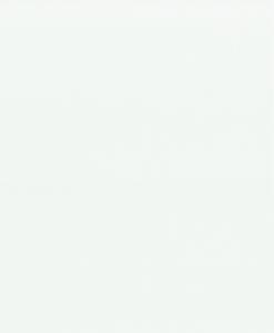 4202-4