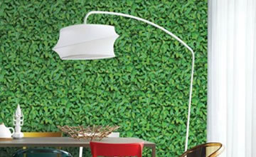 Colección Natural Zen